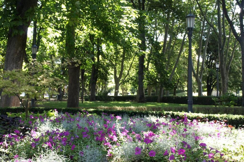 Larraina By Clabao Leilighet Pamplona Eksteriør bilde